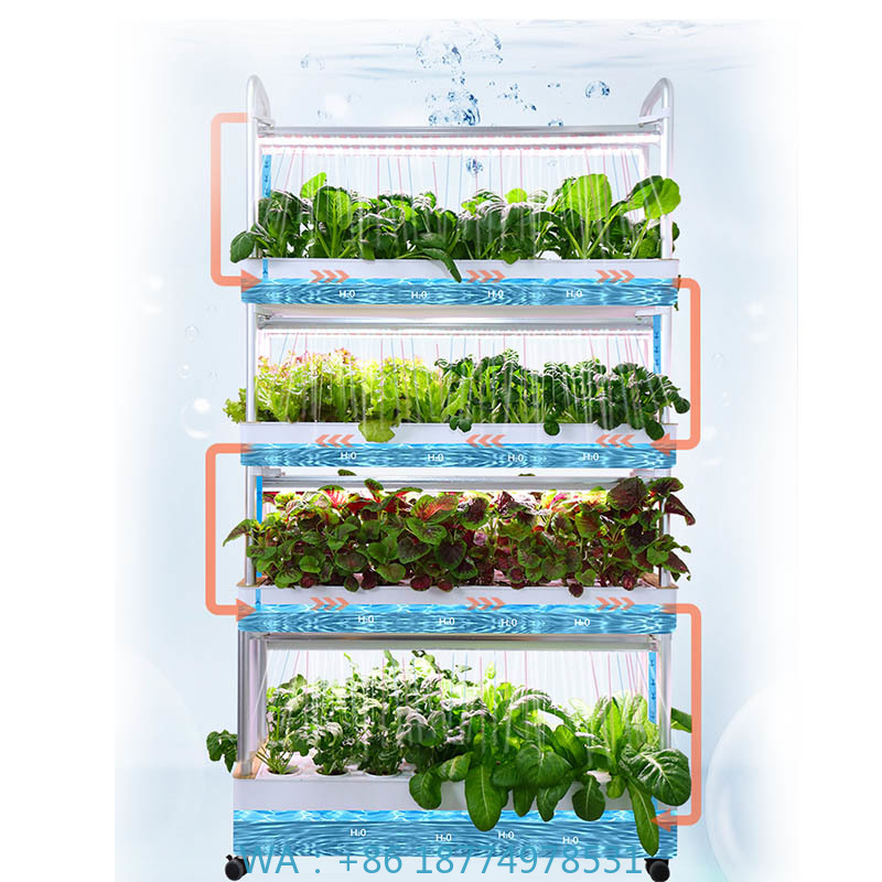 Diy Home Automation System - Système de plantation ydroponique système domotique