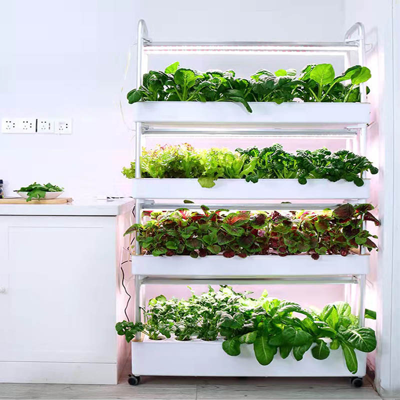 Système de plantation ydroponi - Diy Home Automation System avis et prix